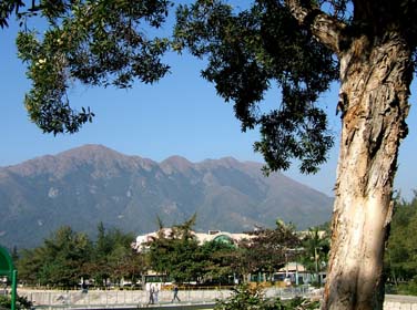 Mui Wo, Lantau Island, Hong Kong, China, Jacek Piwowarczyk 2006