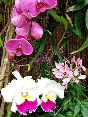 Victoria Park, Hong Kong, China, Jacek Piwowarczyk, 2006