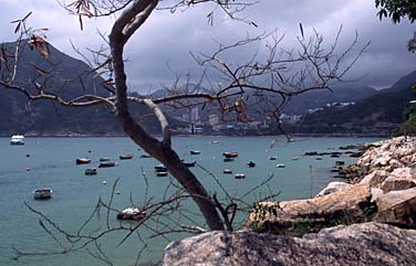 Hong Kong, China, Jacek Piwowarczyk, 2006