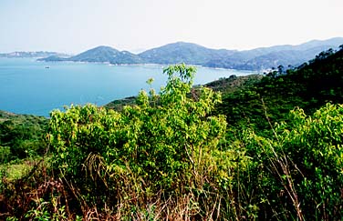 Lantau Trail Section 12, LantauIsland, Hong Kong, China, Jacek Piwowarczyk, 2006
