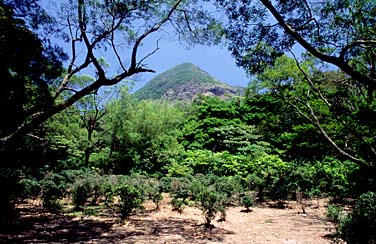Ngong Ping, Lantau Island, Hong Kong, China, Jacek Piwowarczyk, 2006