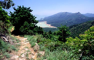 SHEK PIK COUNTRY 