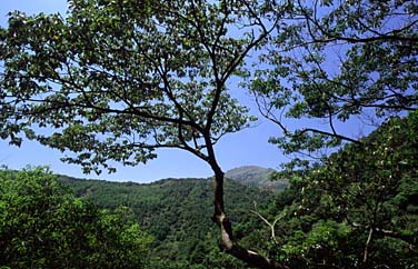 Shek Pik Country Trail, Lantau Island, Hong Kong, China, Jacek Piwowarczyk, 2006