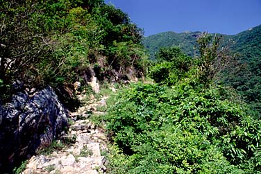 Shek Pik Country Trail, Lantau Island, Hong Kong, China, Jacek Piwowarczyk, 2006