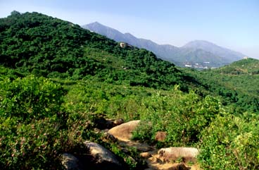 Lantau Trail Section 9, Lantau Island, Hong Kong, Jacek Piwowarczyk, 2006