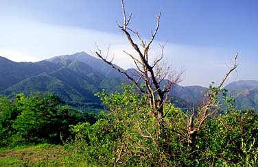 Lantau Trail Section 9, Lantau Island, Hong Kong, Jacek Piwowarczyk, 2006