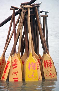 Mui Wo, Lantau Island, Hong Kong, China, Jacek Piwowarczyk 2006