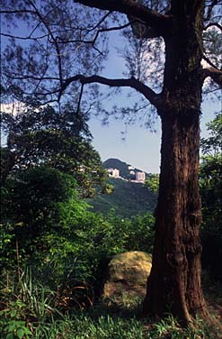 Victoria Peak, Hong Kong, China, Jacek Piwowarczyk, 2006