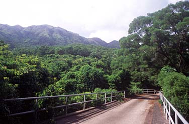 Lantau Island, Hong Kong, China, Jacek Piwowarczyk, 2006
