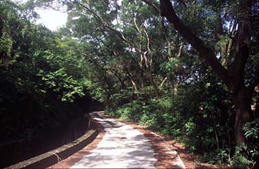 Lantau Island, Hong Kong, China, Jacek Piwowarczyk, 2006