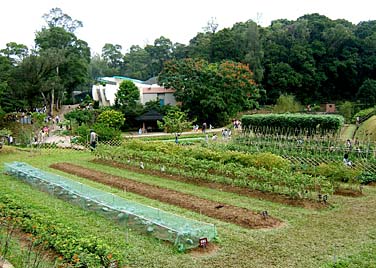 Lion Nature Education Centre, Sai Kung, Hong Kong, China, Jacek Piwowarczyk, 2006