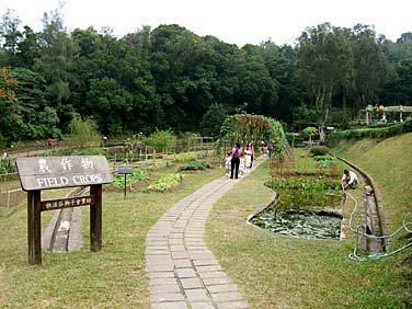 Lion Nature Education Centre, Sai Kung, Hong Kong, China, Jacek Piwowarczyk, 2006