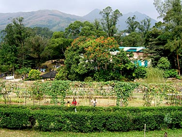 Lion Nature Education Centre, Sai Kung, Hong Kong, China, Jacek Piwowarczyk, 2006