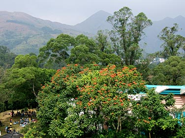 Lion Nature Education Centre, Sai Kung, Hong Kong, China, Jacek Piwowarczyk, 2006
