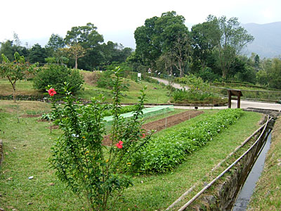 Lion Nature Education Centre, Sai Kung, Hong Kong, China, Jacek Piwowarczyk, 2006