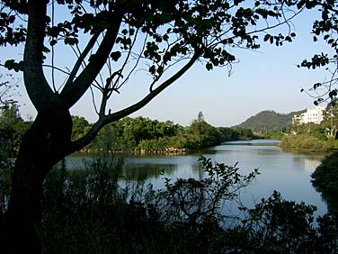 TAI O 2006