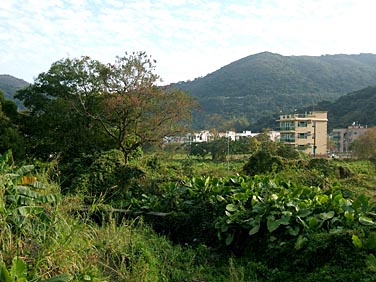 Mui Wo, Lantau Island, Hong Kong, China, Jacek Piwowarczyk, 2007