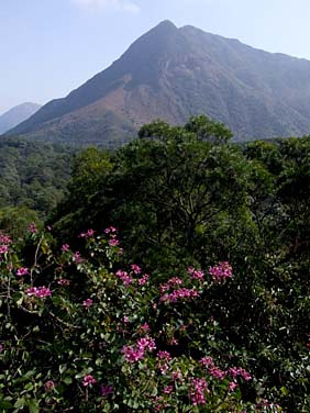 Ngong Ping, Lantau Island, Hong Kong, China, Jacek Piwowarczyk, 2007