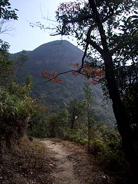 Ngong Ping to Shek Pik Reservoir Trail, Lantau Island, Hong Kong, China, Jacek Piwowarczyk, 2007