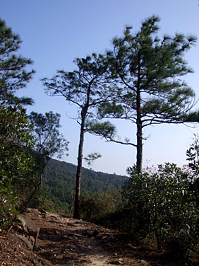 Ngong Ping to Shek Pik Reservoir Trail, Lantau Island, Hong Kong, China, Jacek Piwowarczyk, 2007