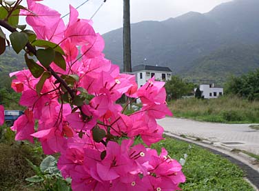 Mui Wo, Lantau Island, Hong Kong, China, Jacek Piwowarczyk 2008