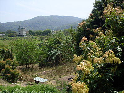 Mui Wo, Lantau Island, Hong Kong, China, Jacek Piwowarczyk 2008