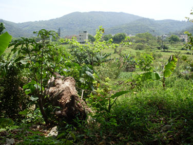 Mui Wo, Lantau Island, Hong Kong, China, Jacek Piwowarczyk 2008