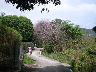 MUI WO APRIL 2008