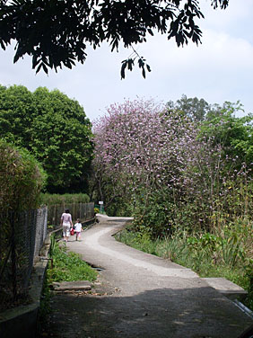 Mui Wo, Lantau Island, Hong Kong, China, Jacek Piwowarczyk 2008