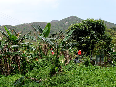 Mui Wo, Lantau Island, Hong Kong, China, Jacek Piwowarczyk 2008