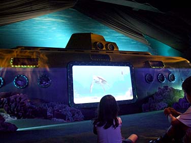 Hong Kong Disneyland Resort , Hong Kong, China, Jacek Piwowarczyk, 2008