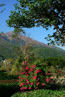 Pui O, Lantau Island, Hong Kong, China, Jacek Piwowarczyk, 2008