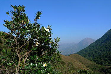Ngong Ping, Lantau Island, Hog Kog, China, Jacek Piwowarczyk, 2008