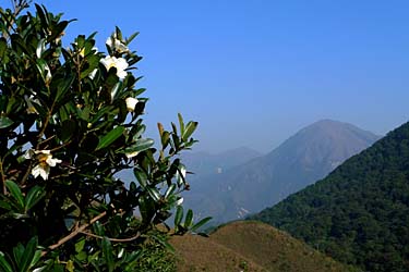 Ngong Ping, Lantau Island, Hog Kog, China, Jacek Piwowarczyk, 2008