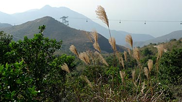 Ngong Ping, Lantau Island, Hog Kog, China, Jacek Piwowarczyk, 2008