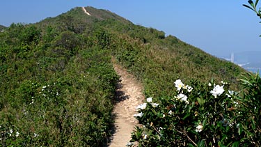 Dragon's Back Trail, Hog Kong Island, Hong Kong, China, Jacek Piwowarczyk, 2009