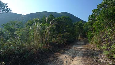 Dragon's Back Trail, Hog Kong Island, Hong Kong, China, Jacek Piwowarczyk, 2009