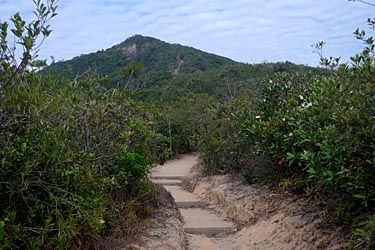Wilson Trail Stage 2 Hike, Hong Kong Island, Hong Kong, China, Jacek Piwowarczyk, 2009