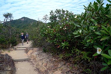 Wilson Trail Stage 2 Hike, Hong Kong Island, Hong Kong, China, Jacek Piwowarczyk, 2009