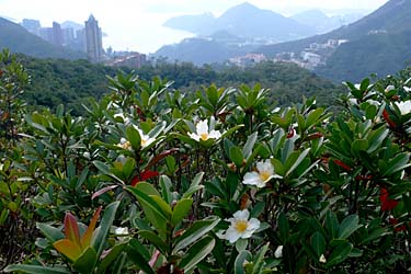 Wilson Trail Stage 2 Hike, Hong Kong Island, Hong Kong, China, Jacek Piwowarczyk, 2009