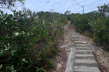 Wilson Trail Stage 2 Hike, Hong Kong Island, Hong Kong, China, Jacek Piwowarczyk, 2009