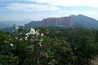 Wilson Trail Stage 2 Hike, Hong Kong Island, Hong Kong, China, Jacek Piwowarczyk, 2009