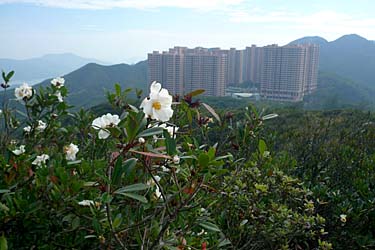Wilson Trail Stage 2 Hike, Hong Kong Island, Hong Kong, China, Jacek Piwowarczyk, 2009