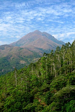 South Lantau Trail, Lantau Island, Hong Kong, China, Jacek Piwowarczyk, 2008
