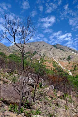 South Lantau Trail, Lantau Island, Hong Kong, China, Jacek Piwowarczyk, 2008