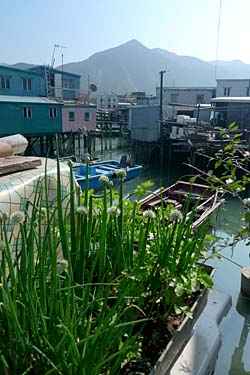 Tai O, Lantau Island, Hong Kong, China, Jacek Piwowarczyk, 2009