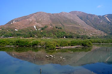 Tai O, Lantau Island, Hong Kong, China, Jacek Piwowarczyk, 2009