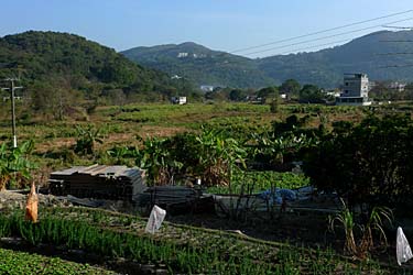 MUI WO FEBRUARY 2009