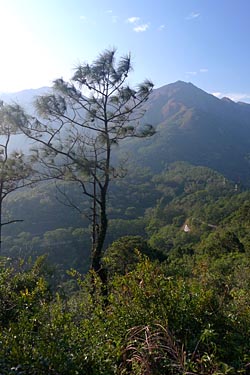 Lantau Island, Hong Kong, China, Jacek Piwowarczyk, 2009