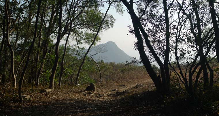 Lantau Island, Hong Kong, China, Jacek Piwowarczyk, 2009